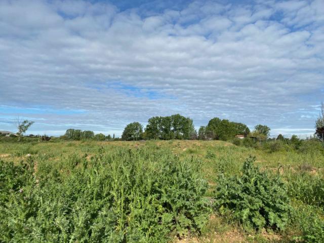 Terreno en venta en Pelabravo, Castilla y León