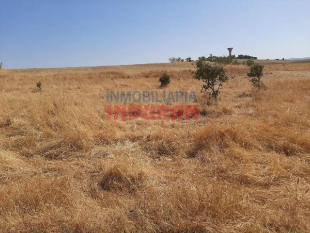 Terreno en venta en Peraleda De La Mata, Extremadura