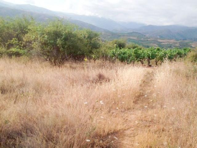 Terreno en venta en Villar de los Barrios, El Bierzo