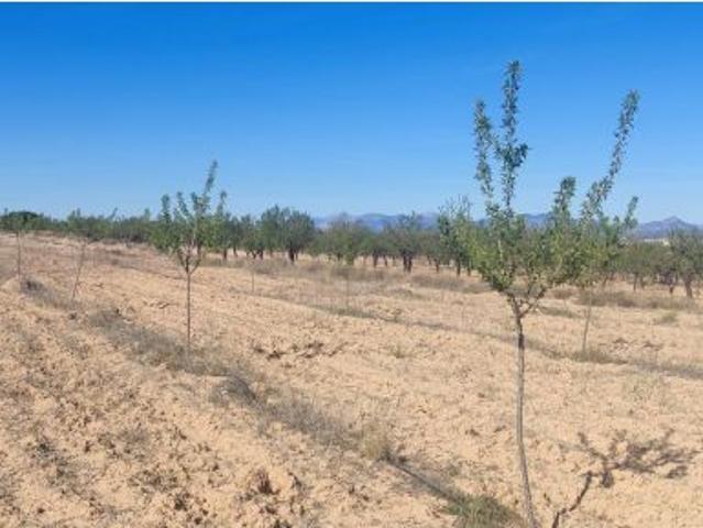 Local Comercial en venta en San Javier, Campo de Cartagena y Mar Menor