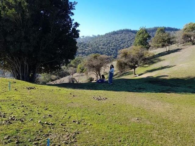 Parcela en Venta en Provincia de Colchagua, Comuna de Santa Cruz, Región Bernardo OHiggins