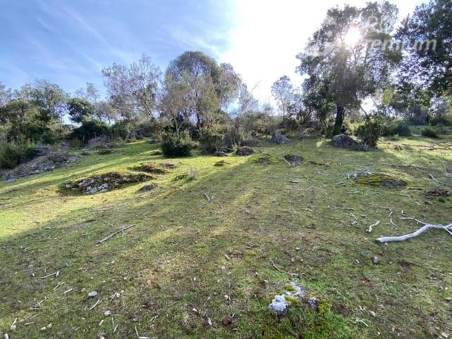 Parcela en Venta en Provincia de Colchagua, Comuna de Santa Cruz, Región Bernardo OHiggins