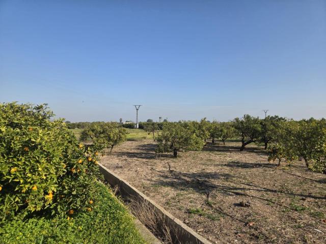 Terreno en venta en Rafelcofer, València / Valencia