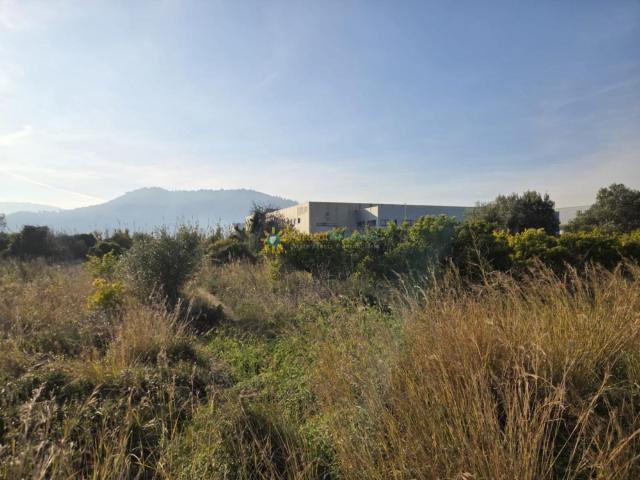 Terreno en venta en la Safor, Valencia
