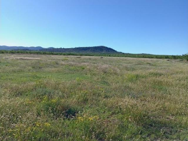 Local Comercial en venta en Valle de Ricote, Murcia