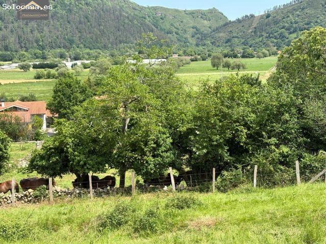Local Comercial en venta en Gismana, Ruente