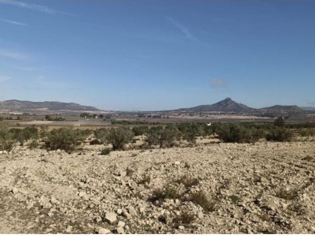 Local Comercial en venta en l'Alt Vinalopó / El Alto Vinalopó, Valencia