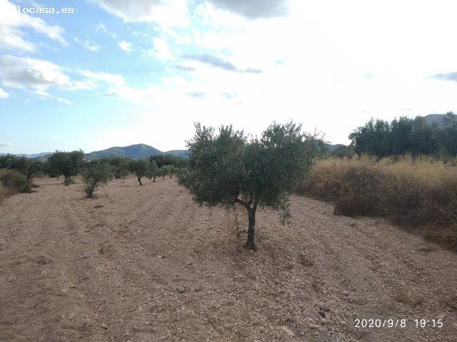 Local Comercial en venta en l'Alt Vinalopó / El Alto Vinalopó, Valencia