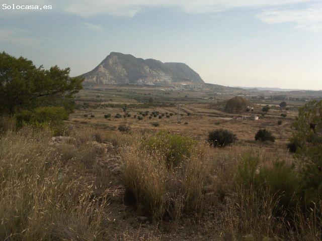 Local Comercial en venta en el Rebolledo, l'Alacantí