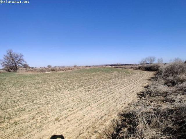 Local Comercial en venta en Los Monegros, Aragón