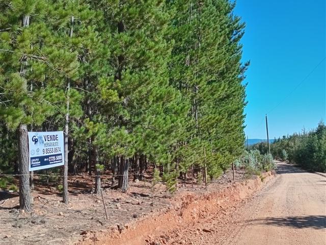Casa en venta en Vichuquén, Maule