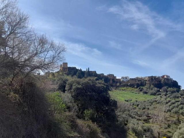 Terreno en venta en Hornos, Andalucía