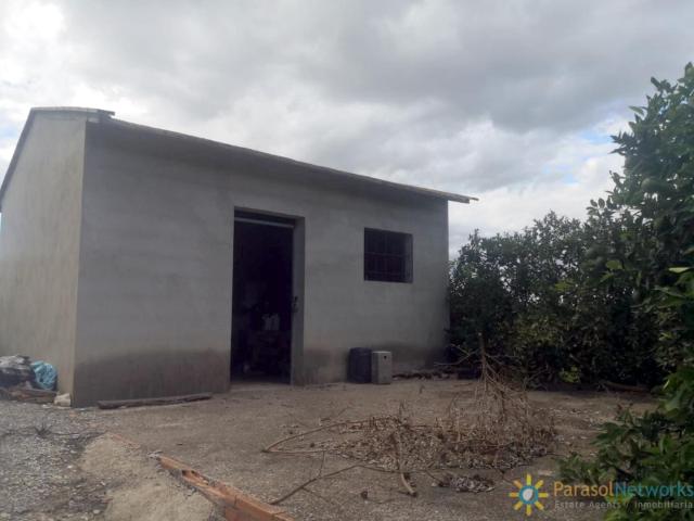 Terreno en venta en Sellent