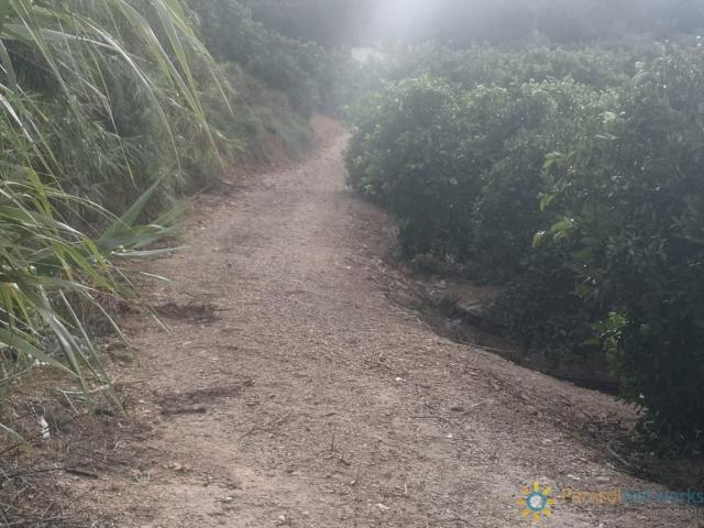 Terreno en venta en la Ribera Alta, Valencia