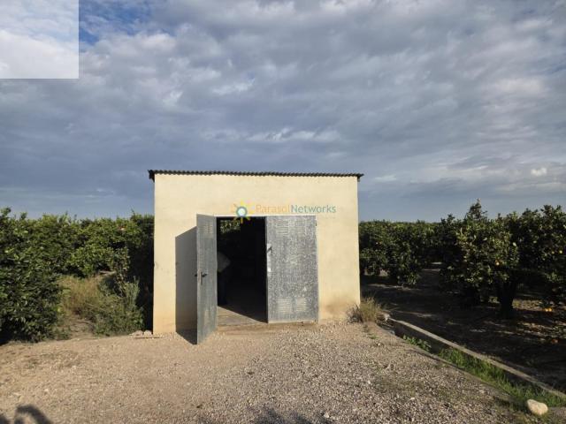 Terreno en venta en la Ribera Alta, Valencia