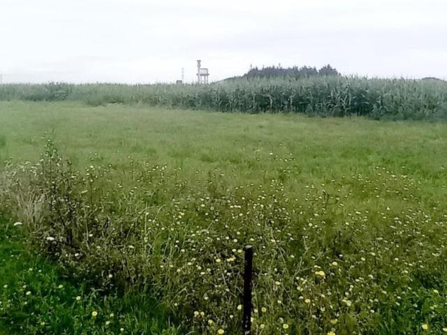 Terreno en venta en Tapia De Casariego, Asturias