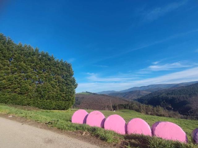 Terreno en venta en Tapia De Casariego, Asturias