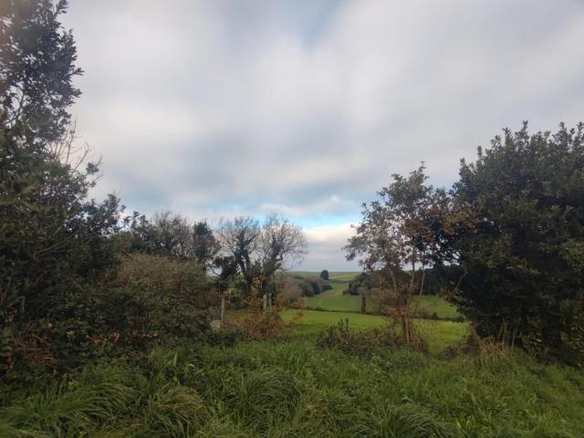 Terreno en venta en San Blas, Tapia De Casariego
