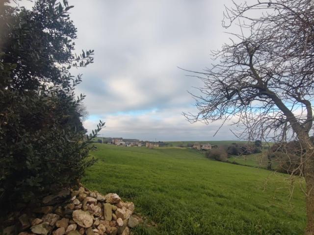 Terreno en venta en Tapia De Casariego, Asturias