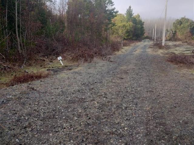 Casa en venta en Cabrero, Biobío