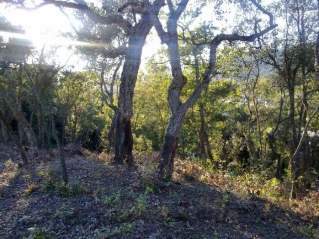 Terreno en venta en les Ferreres, Maresme
