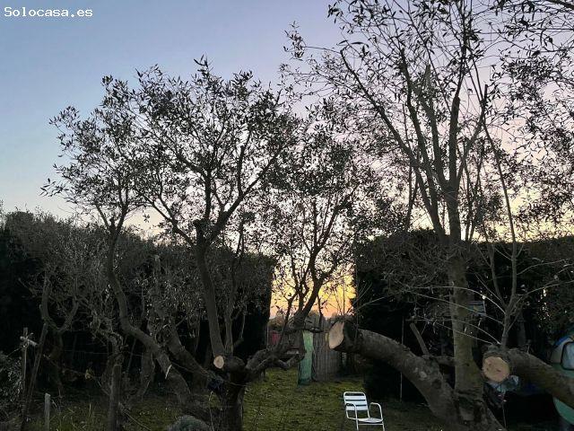 Local Comercial en venta en Baix Empordà, Catalunya