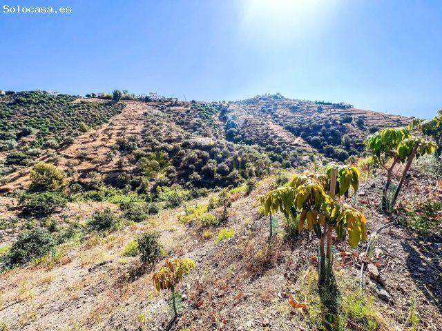 Local Comercial en venta en Castillo Bajo-Conejito, La Axarquía