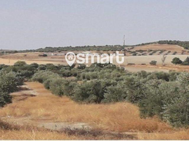 Terreno en venta en Valdemoro