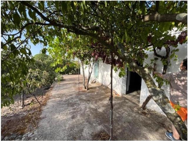 Terreno en venta en Valencia De Alcántara, Extremadura