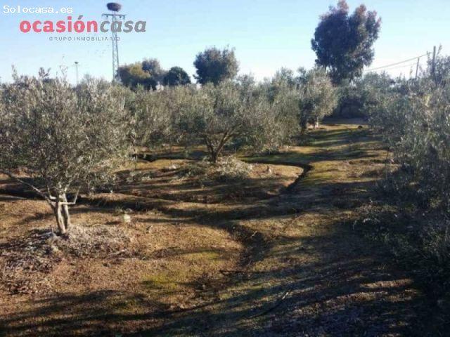 Local Comercial en venta en Valsequillo, Andalucía