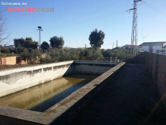 Local Comercial en venta en Valsequillo, Andalucía