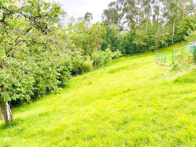 Local Comercial en venta en La Carizal, Siero