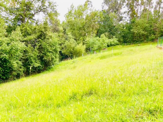 Terreno en venta en Pañeda Nueva, Siero