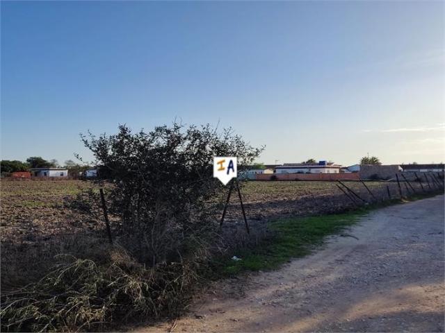 Terreno en venta en El Palmar, La Janda