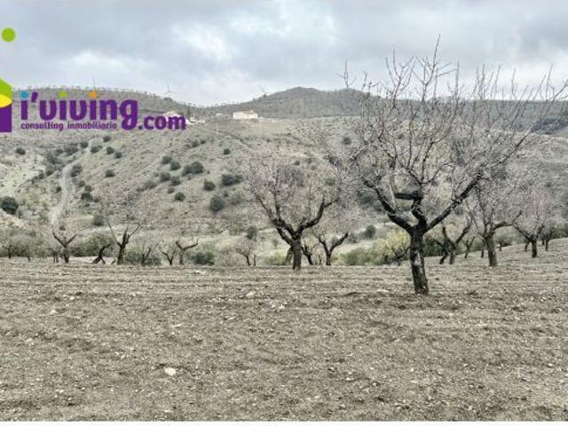 Local Comercial en venta en Los Vélez, Andalucía