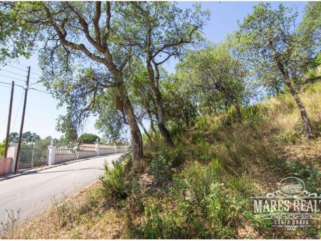 Local Comercial en venta en la Selva, Catalunya