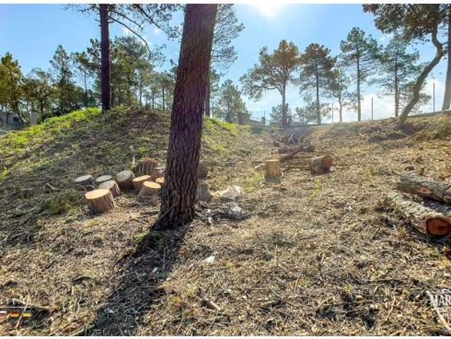 Local Comercial en venta en la Selva, Catalunya