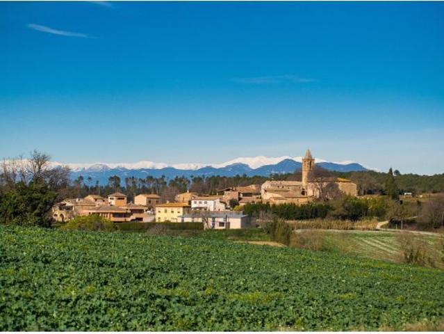 Local Comercial en venta en Pla de l'Estany, Catalunya