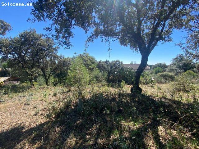 Local Comercial en venta en Villa Del Prado, Madrid