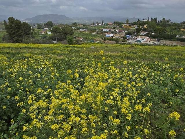 Terreno en venta en Valle del Guadalhorce, Andalucía