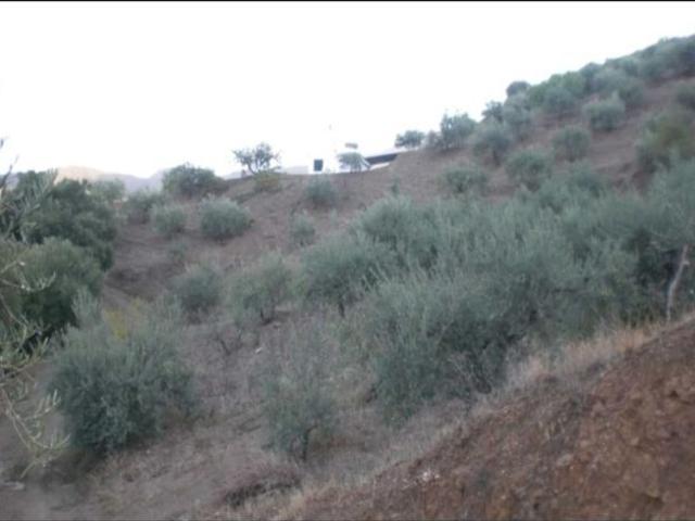 Local Comercial en venta en Sierra de las Nieves, Andalucía