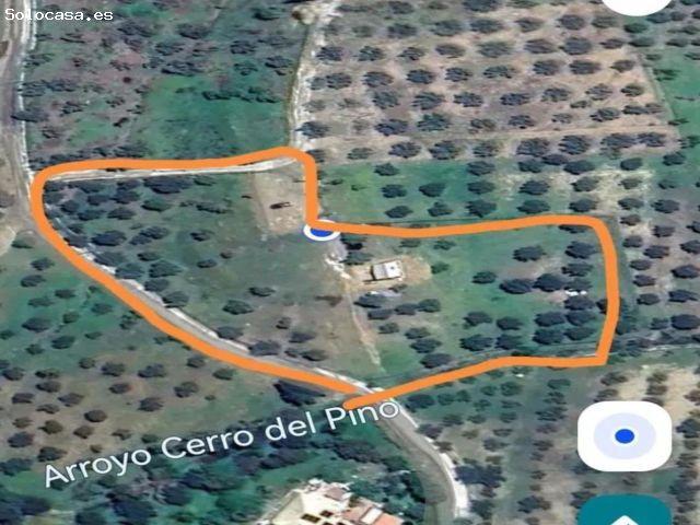 Local Comercial en venta en Sierra de las Nieves, Andalucía