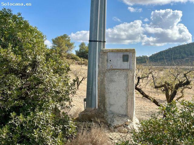 Local Comercial en venta en Bullas, Región de Murcia