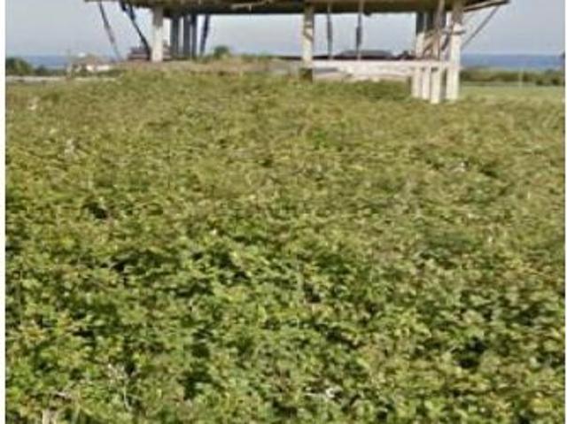Local Comercial en venta en Viḷḷar, Valdés