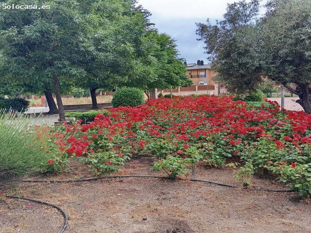 Local Comercial en venta en Zarzalejo, Madrid