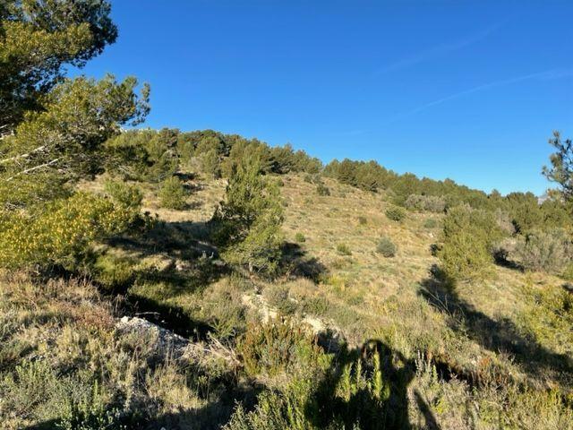 Terreno en venta en la Marina Baixa, Valencia