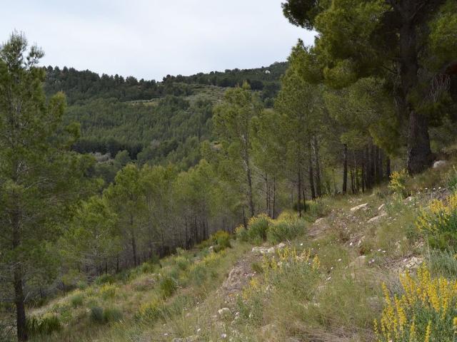 Terreno en venta en la Marina Baixa, Valencia