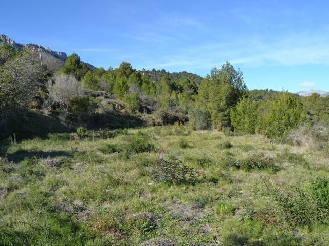 Terreno en venta en la Marina Baixa, Valencia