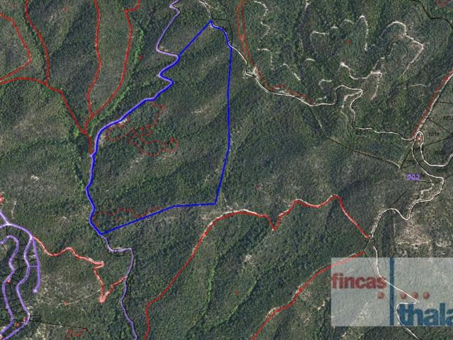 Terreno en venta en la Selva, Catalunya