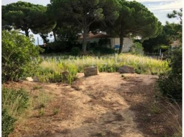 Local Comercial en venta en Serra Brava, la Selva